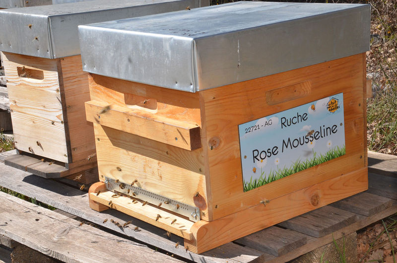 La ruche Rose Mousseline