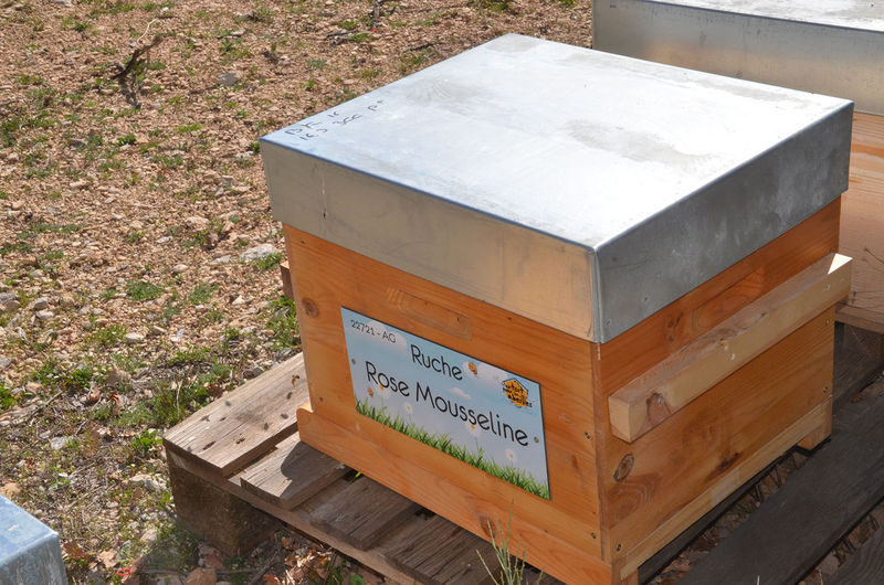 La ruche Rose Mousseline