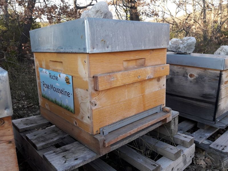 La ruche Rose Mousseline