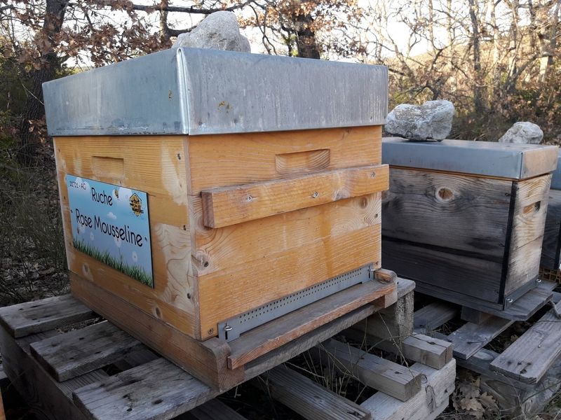 La ruche Rose Mousseline