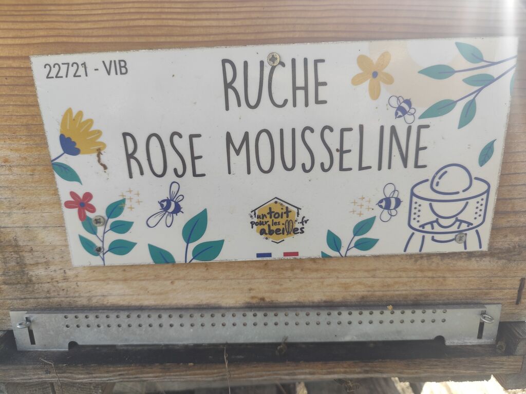 La ruche Rose Mousseline