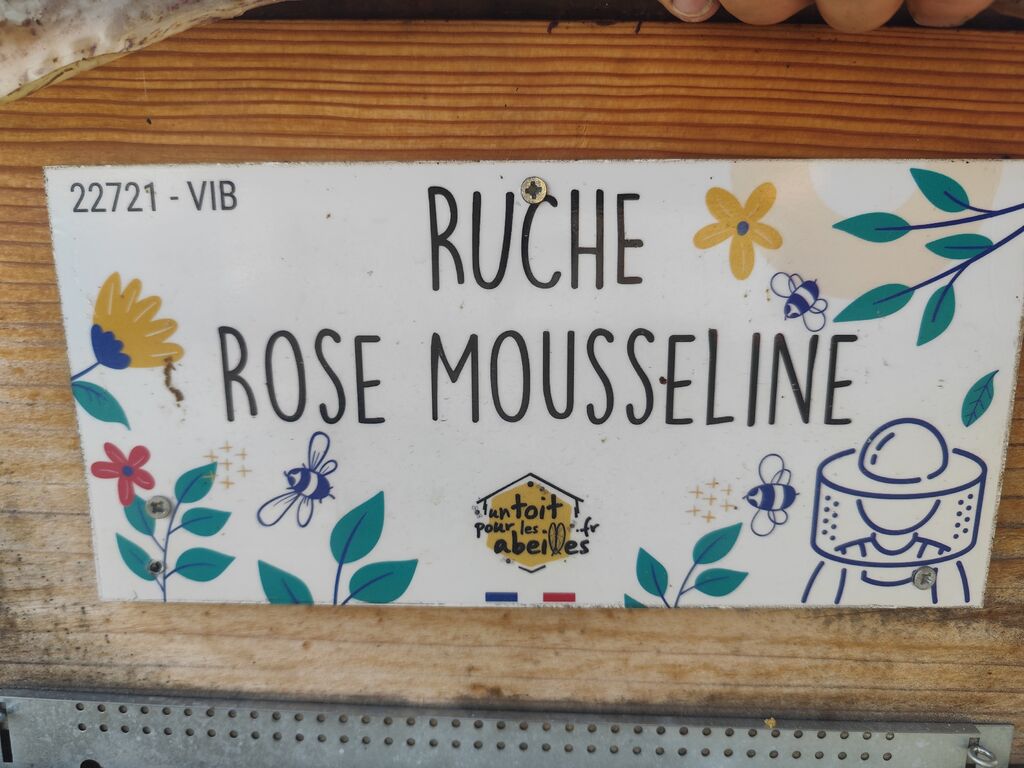La ruche Rose Mousseline
