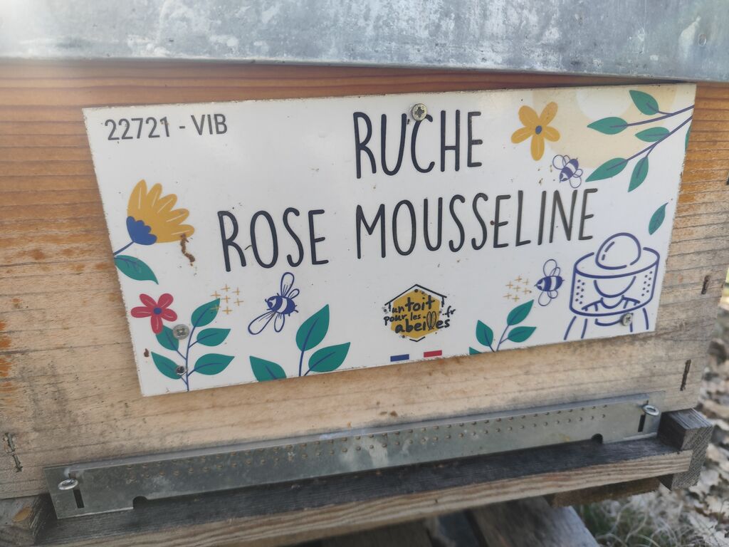 La ruche Rose Mousseline