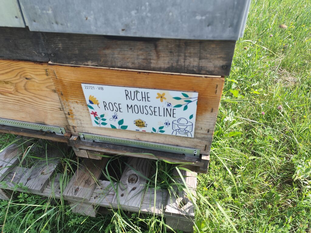 La ruche Rose Mousseline