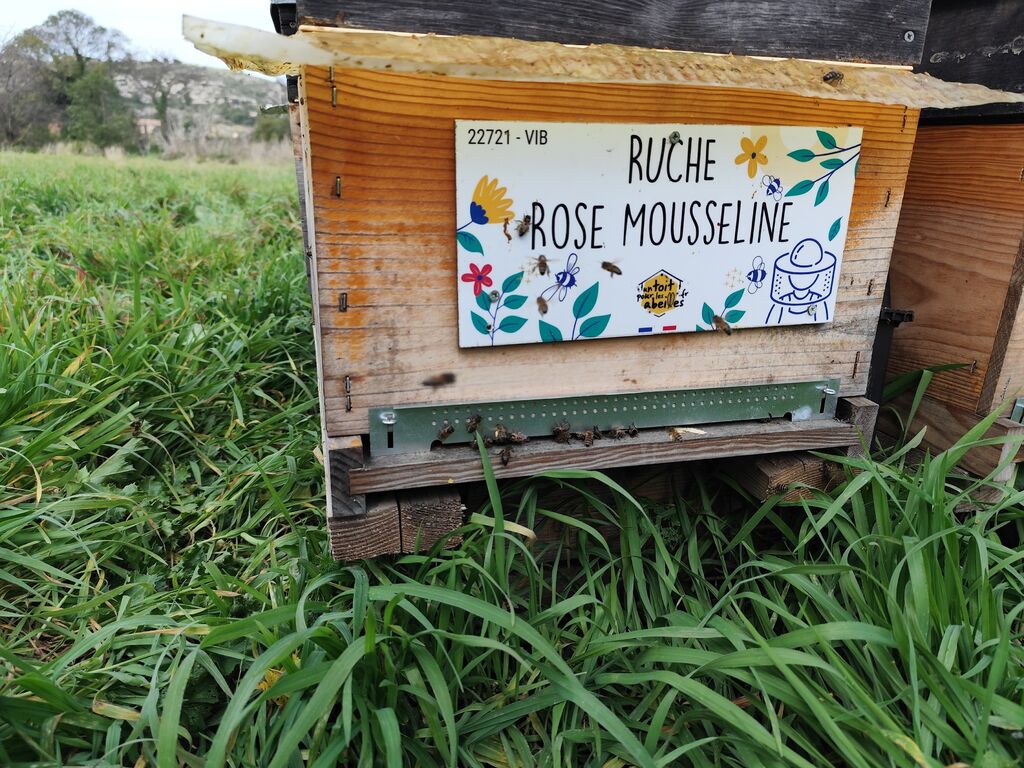 La ruche Rose Mousseline