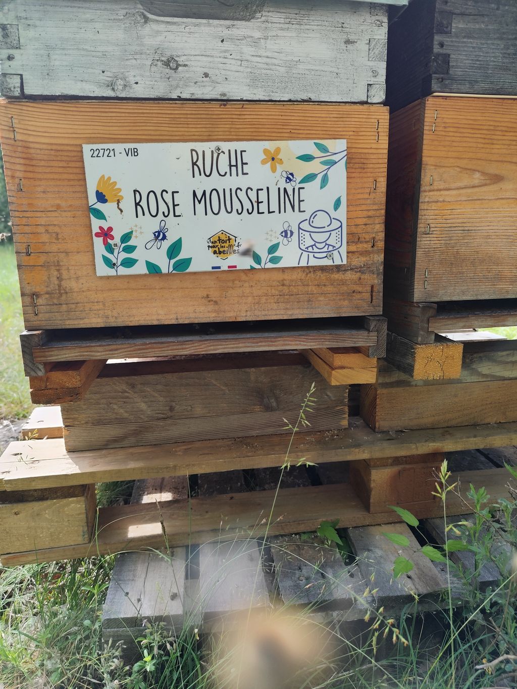 La ruche Rose Mousseline