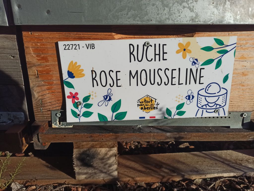 La ruche Rose Mousseline