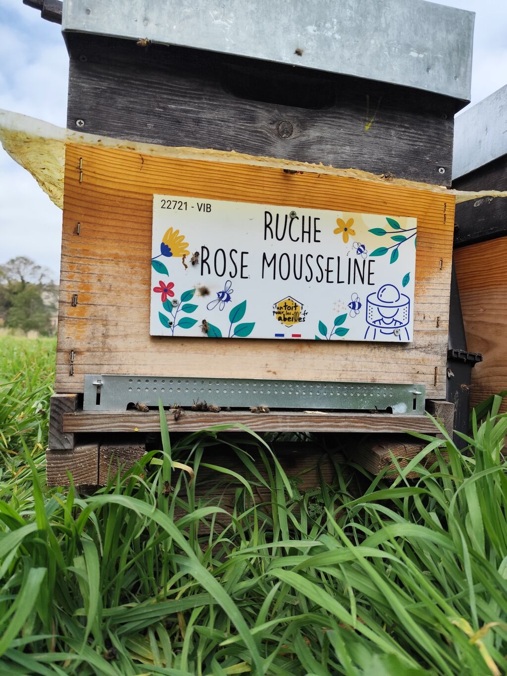 La ruche Rose Mousseline