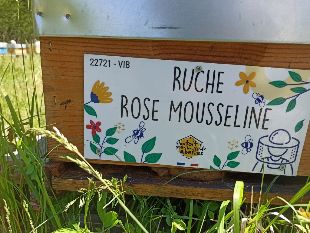 La ruche Rose Mousseline