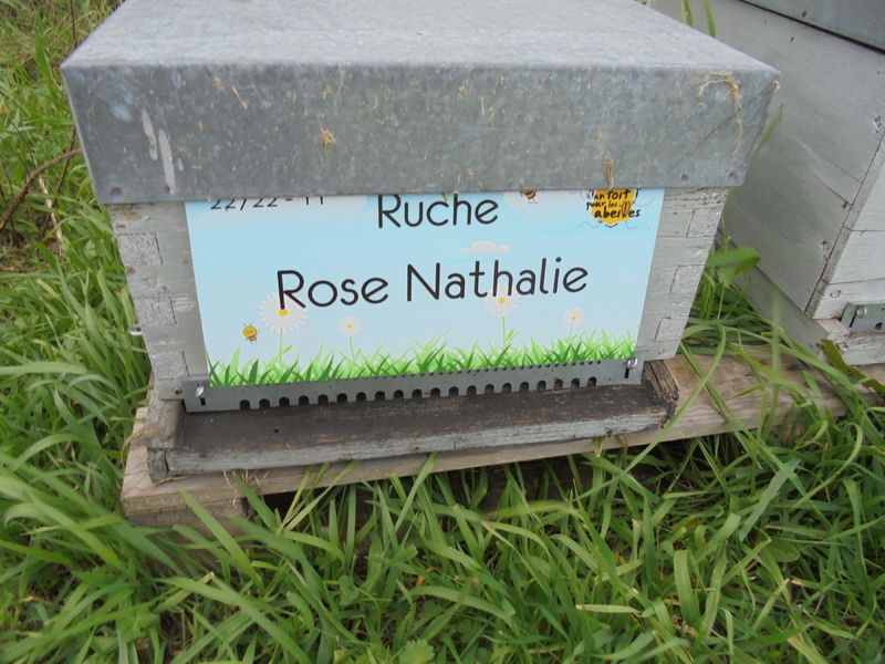 La ruche Rose Nathalie