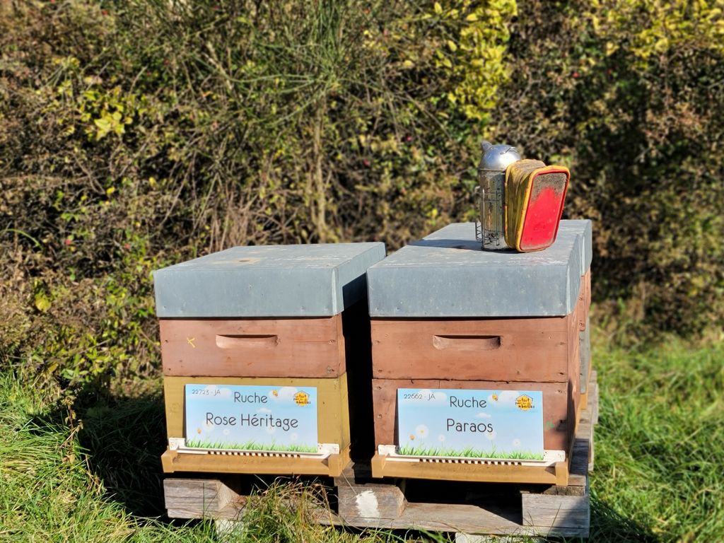 La ruche Rose Héritage