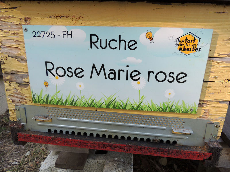 La ruche Rose Marie rose