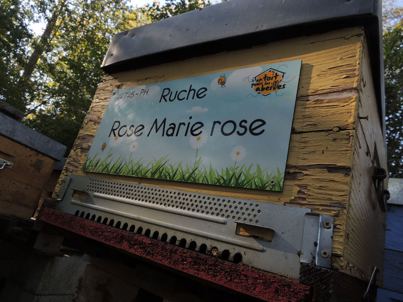La ruche Rose Marie rose