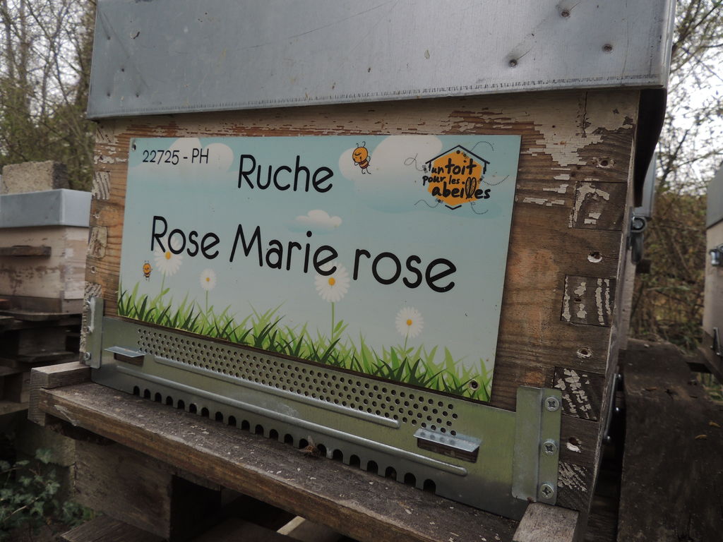 La ruche Rose Marie rose