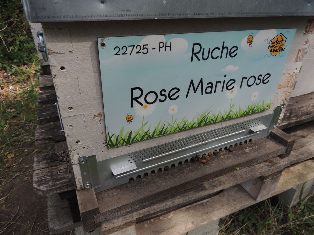 La ruche Rose Marie rose