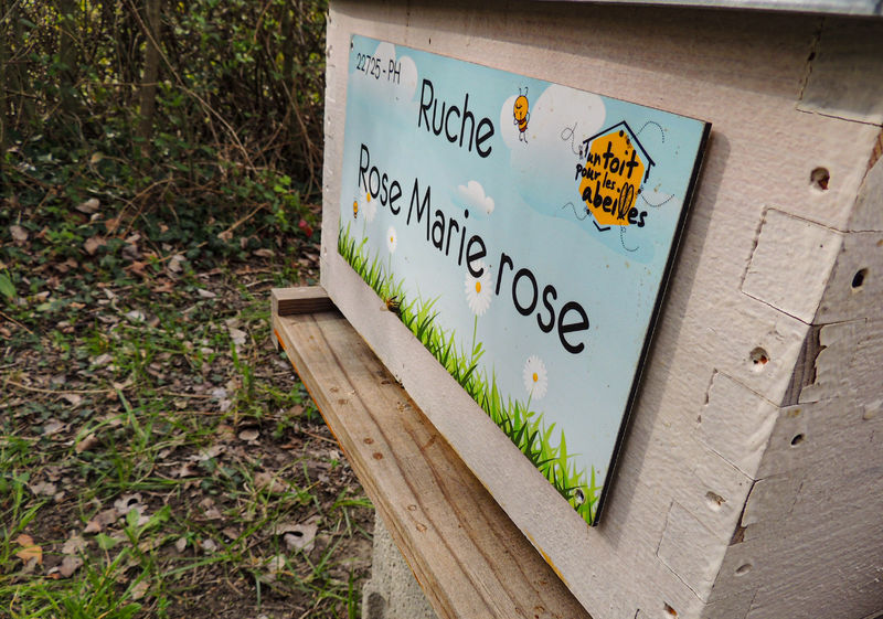 La ruche Rose Marie rose