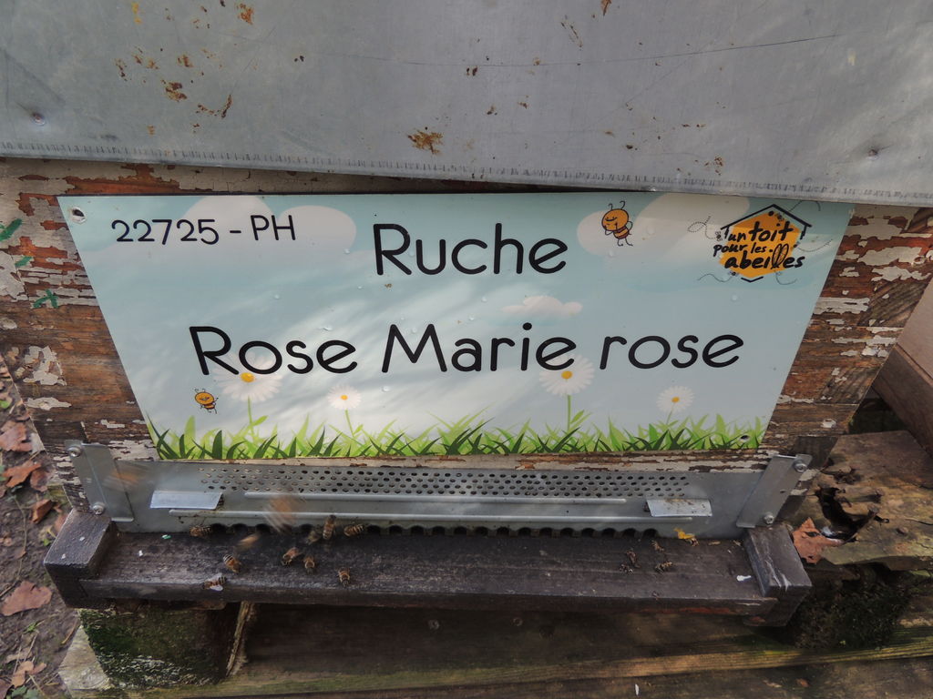 La ruche Rose Marie rose