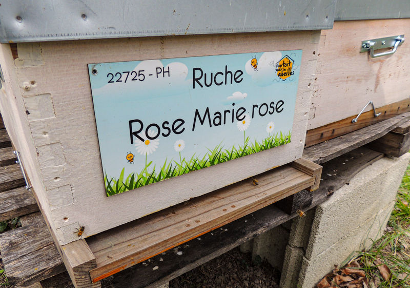 La ruche Rose Marie rose
