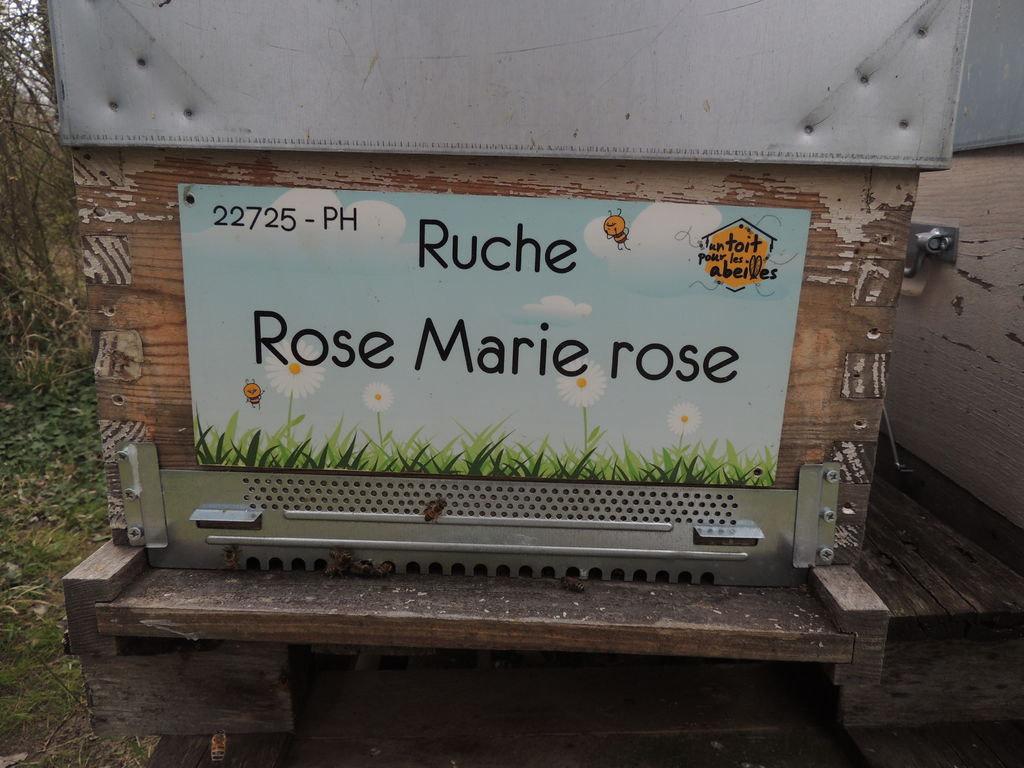 La ruche Rose Marie rose
