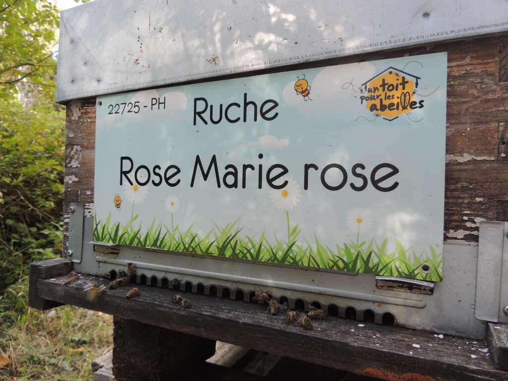 La ruche Rose Marie rose