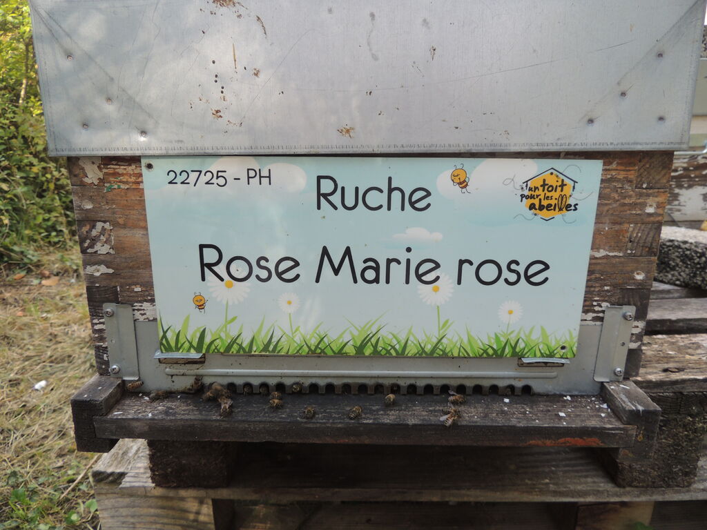 La ruche Rose Marie rose