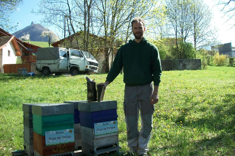 La ruche Rose de Pangee