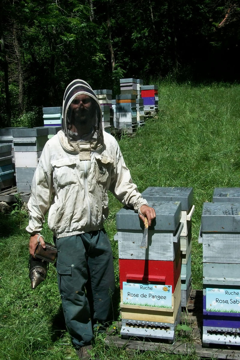 La ruche Rose de Pangee