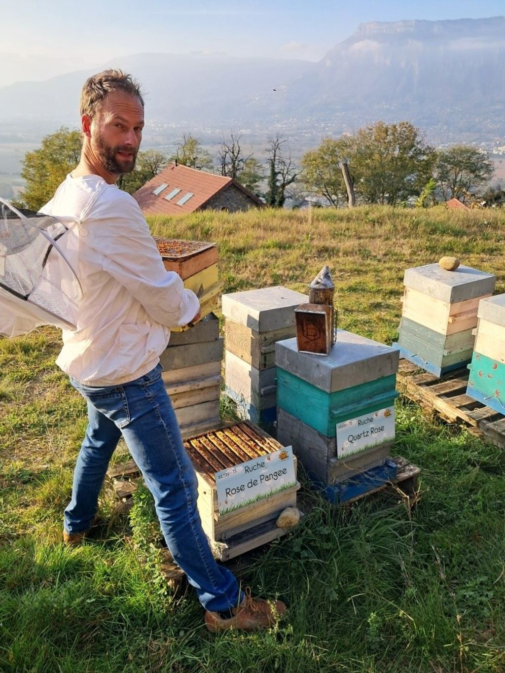 La ruche Rose de Pangee