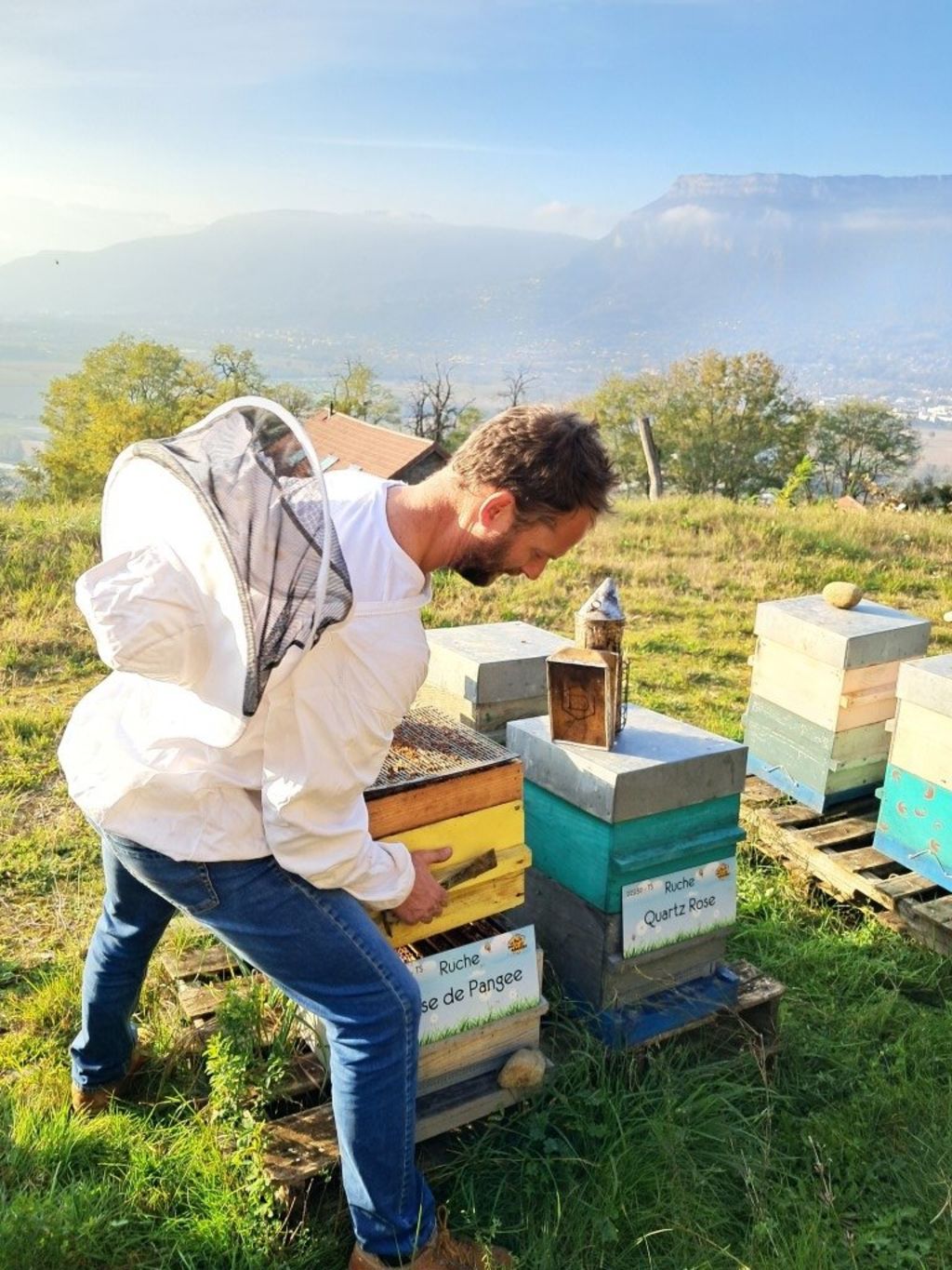 La ruche Rose de Pangee