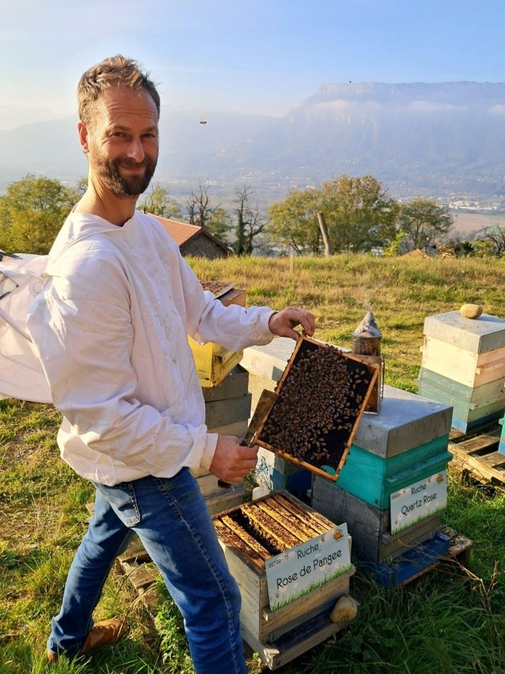 La ruche Rose de Pangee