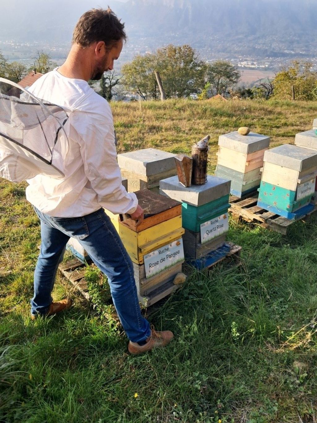 La ruche Rose de Pangee