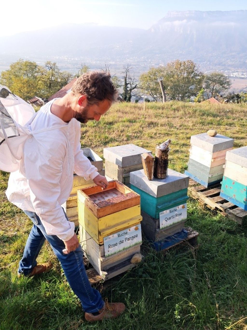 La ruche Rose de Pangee