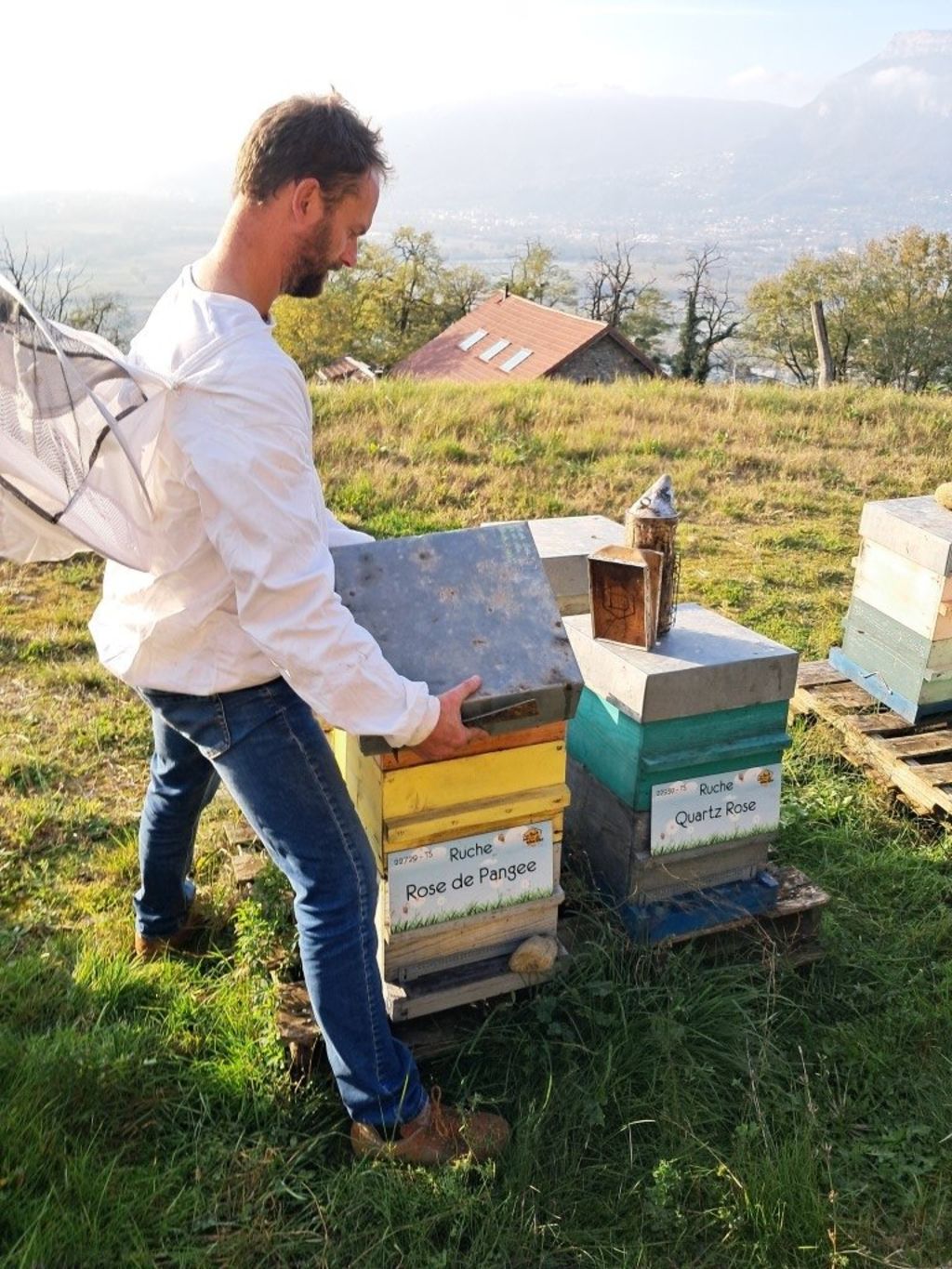 La ruche Rose de Pangee