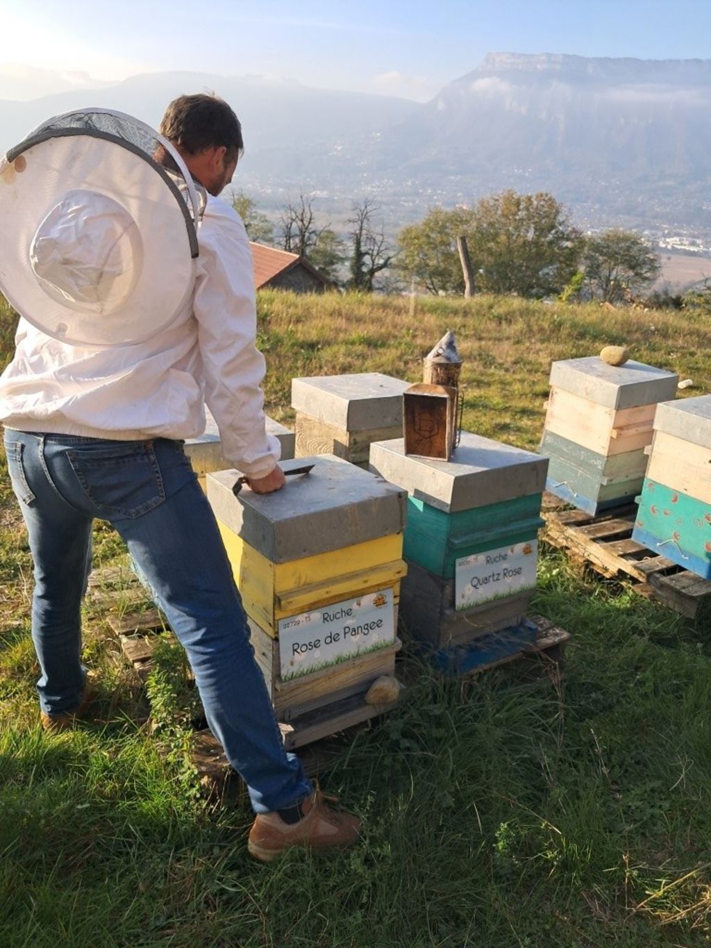 La ruche Rose de Pangee