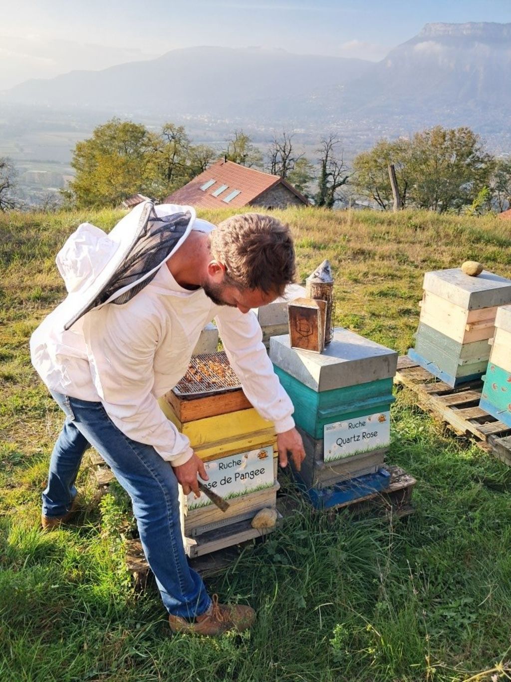 La ruche Rose de Pangee