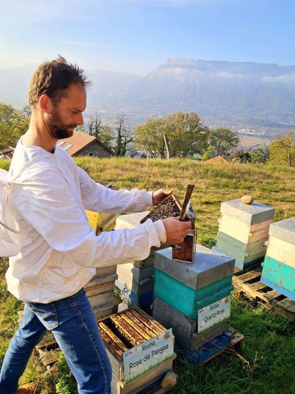 La ruche Rose de Pangee