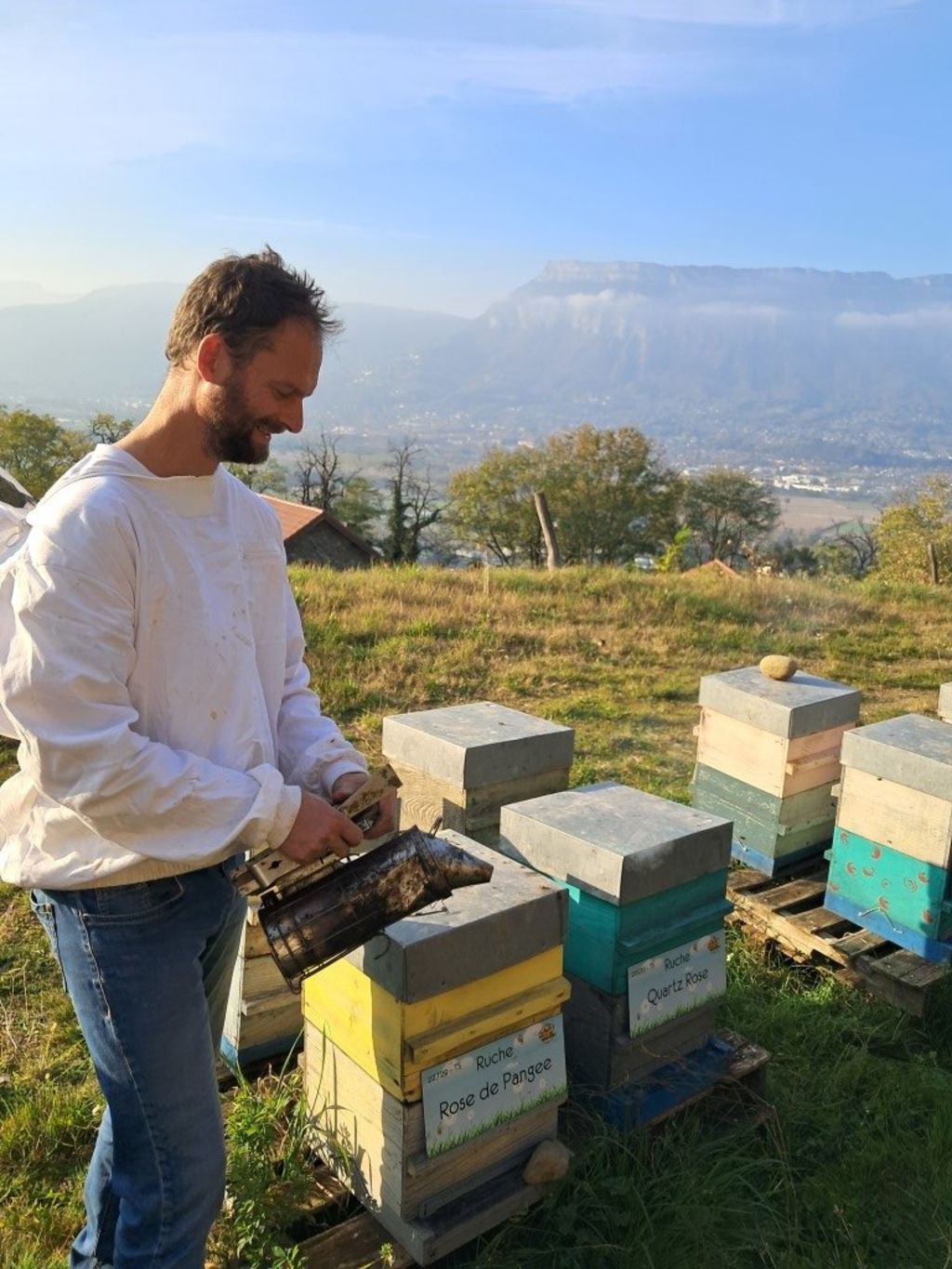 La ruche Rose de Pangee