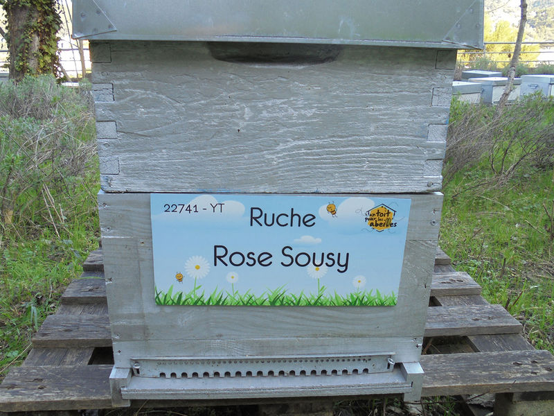La ruche