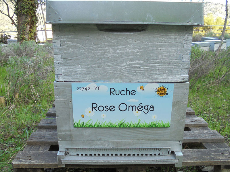 La ruche