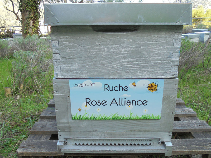 La ruche
