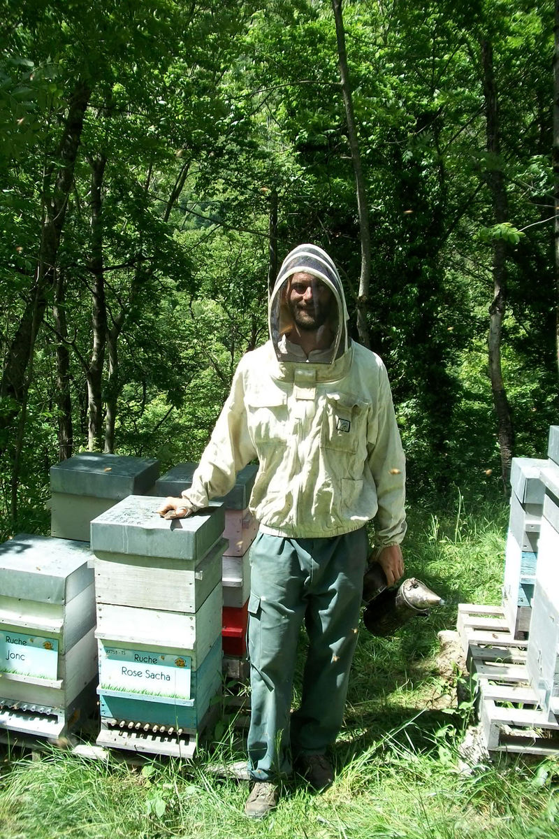 La ruche Rose Sacha