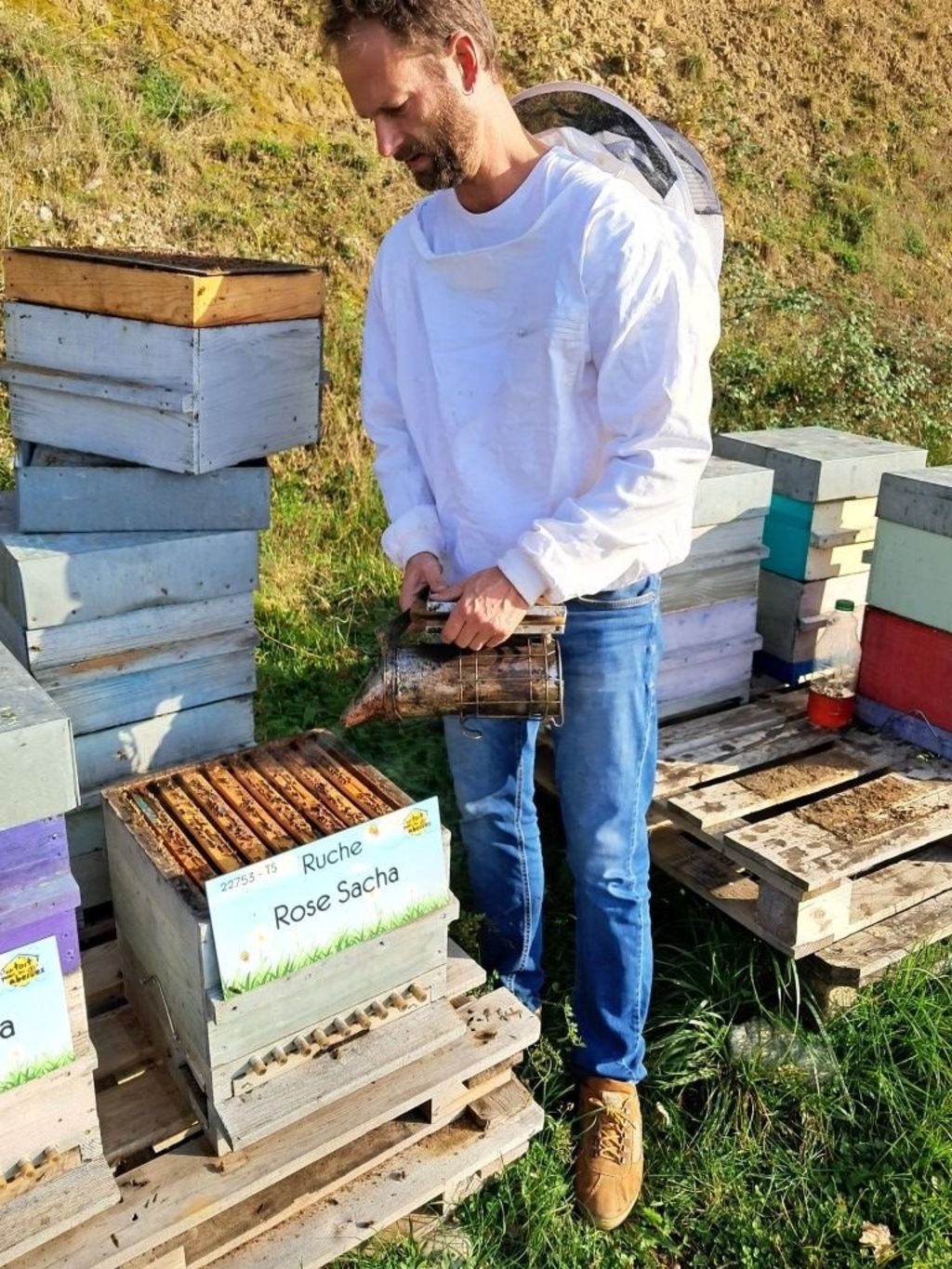 La ruche Rose Sacha