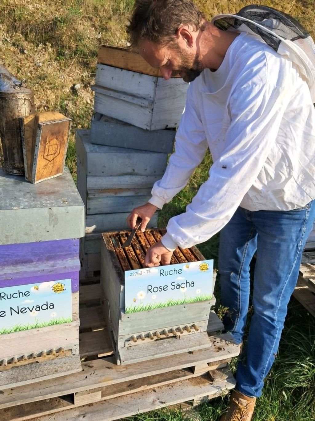 La ruche Rose Sacha