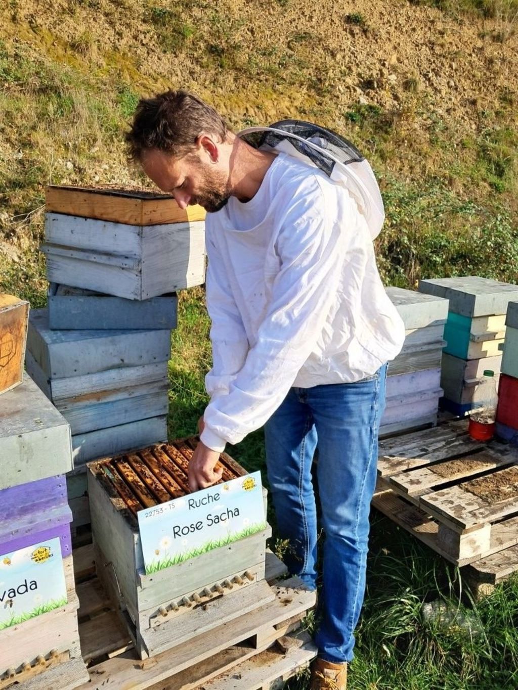 La ruche Rose Sacha