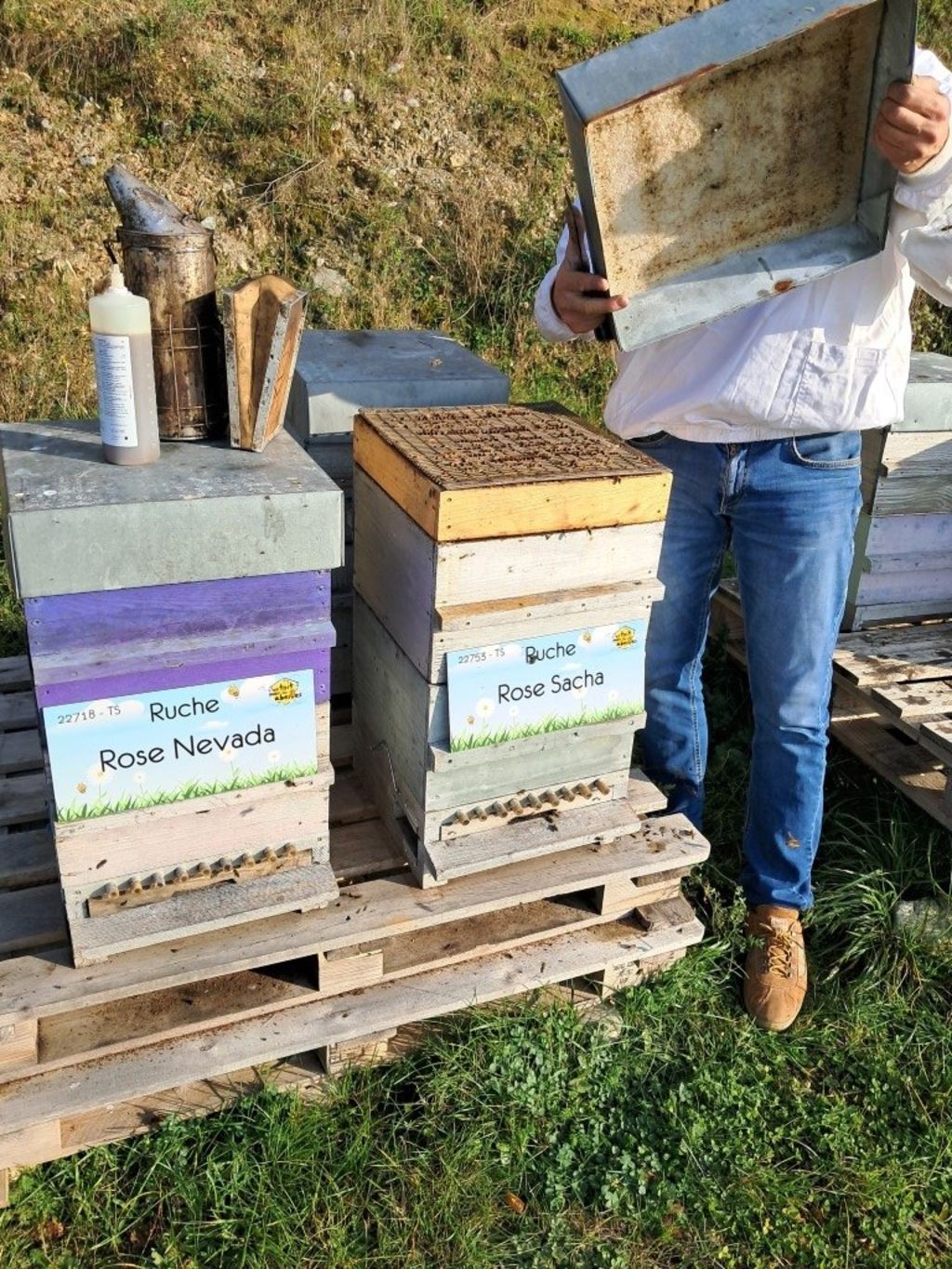La ruche Rose Sacha