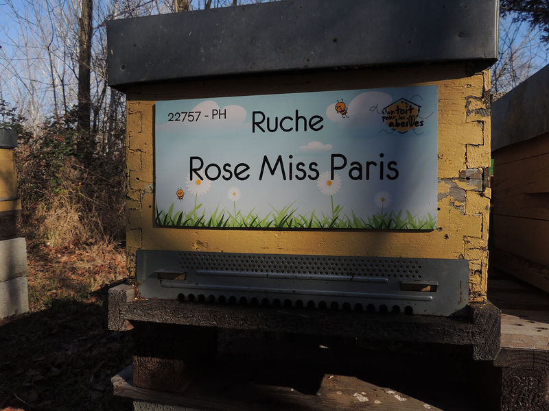 La ruche Rose Miss Paris