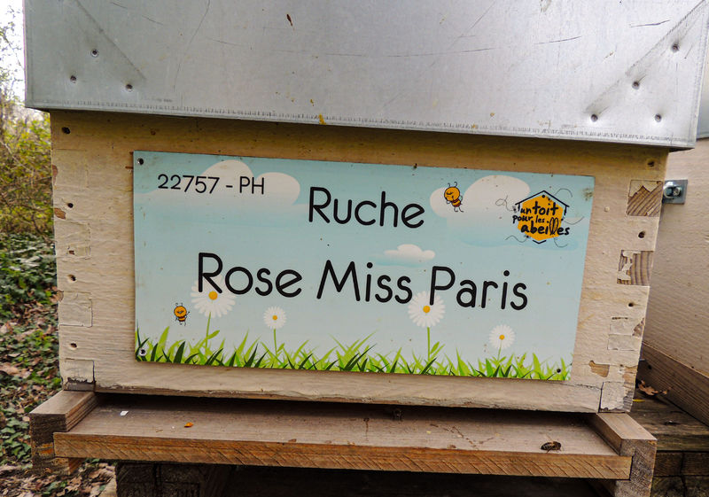 La ruche Rose Miss Paris