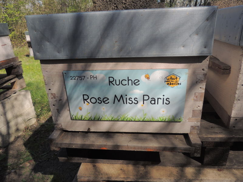 La ruche Rose Miss Paris