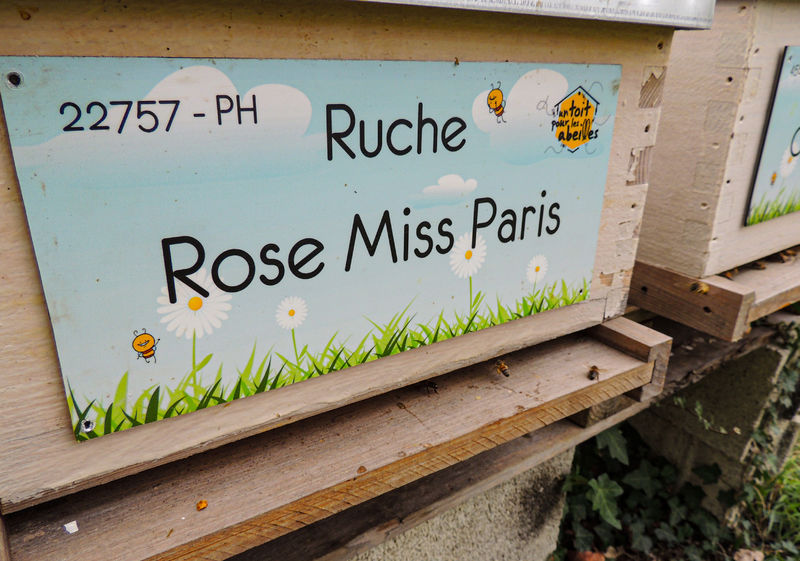 La ruche Rose Miss Paris