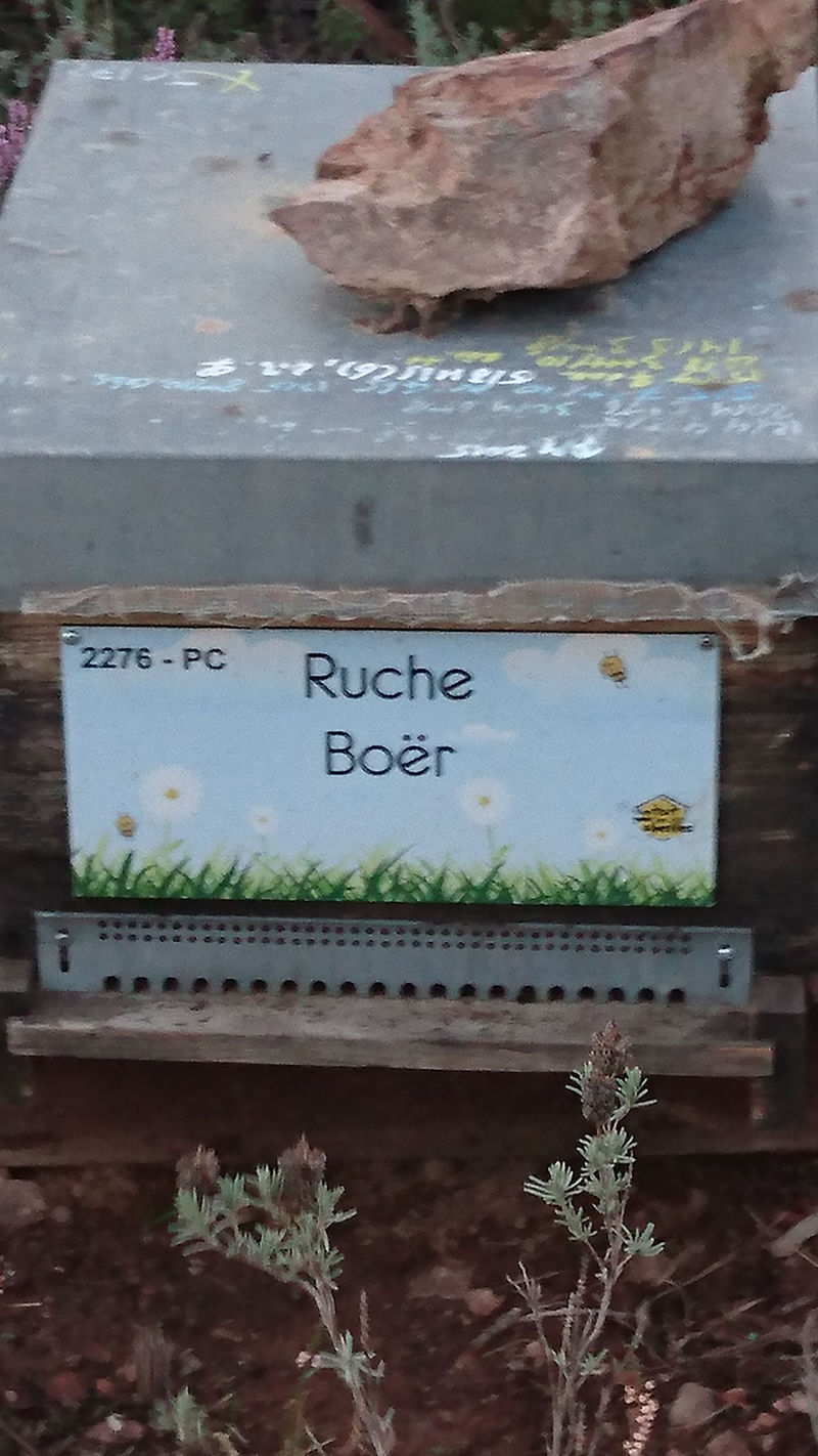La ruche